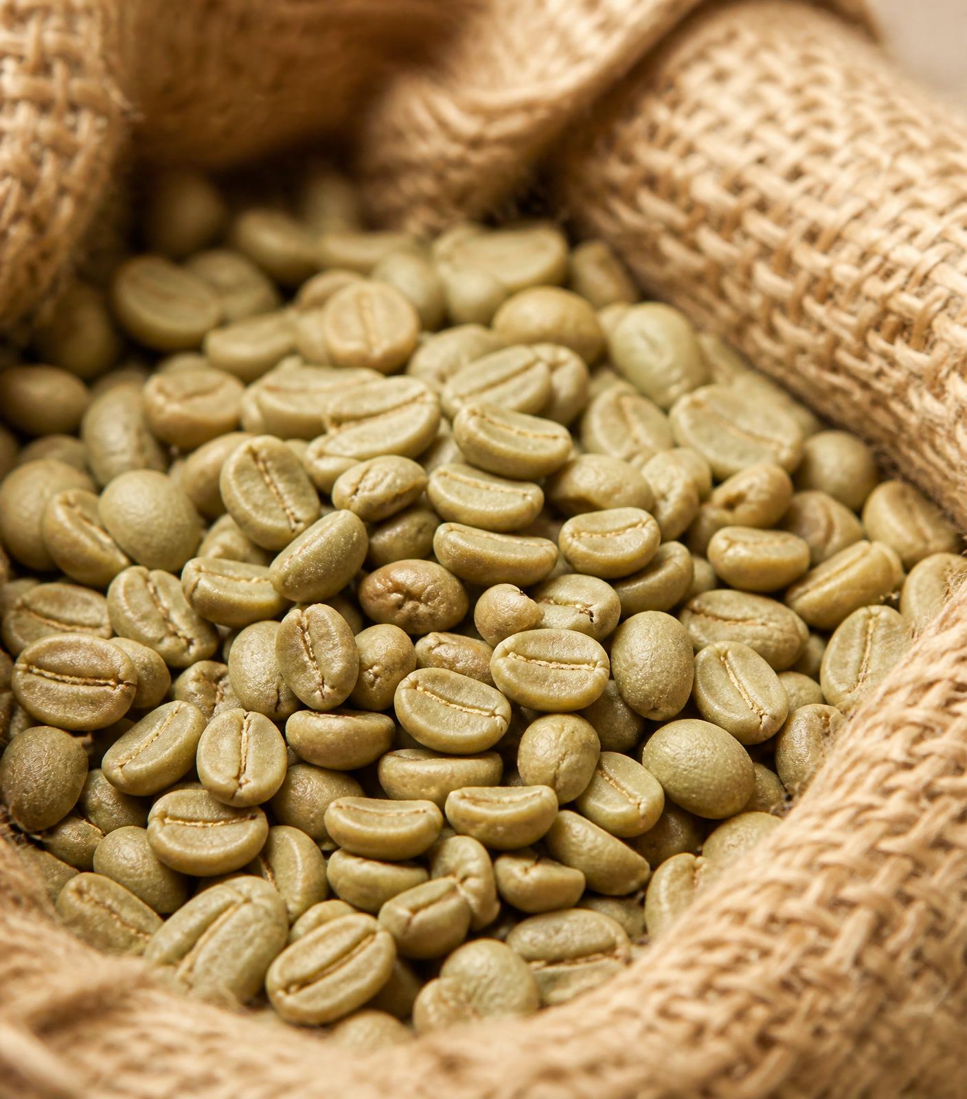 Chicchi di caffè verde brasiliano premium selezionati per torrefattori europei